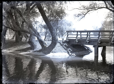 Fotografie necatalogată, cota BU-FD-01073-9-00208-0009