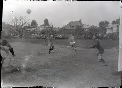 Fotografie necatalogată, cota BU-FD-01073-9-00209-0015