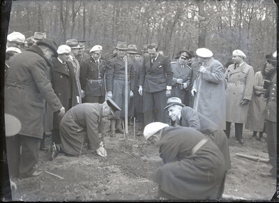 Fotografie necatalogată, cota BU-FD-01073-9-00212-0015