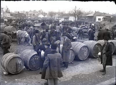 Fotografie necatalogată, cota BU-FD-01073-9-00220-0001