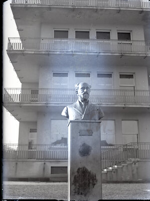 Fotografie necatalogată, cota BU-FD-01073-9-00224-0004