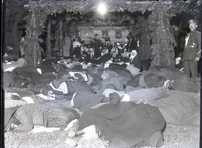 Fotografie necatalogată, cota BU-FD-01073-9-00224-0008