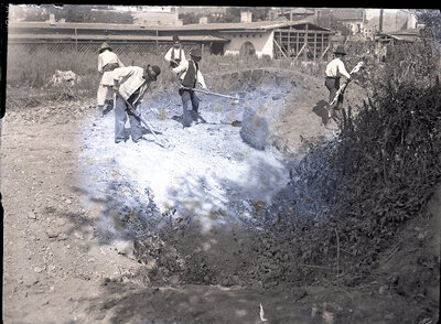 Fotografie necatalogată, cota BU-FD-01073-9-00224-0012