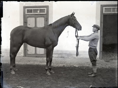 Fotografie necatalogată, cota BU-FD-01073-9-00226-0002