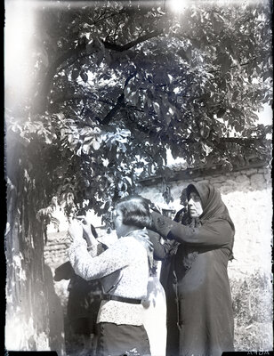 Fotografie necatalogată, cota BU-FD-01073-9-00231-0014