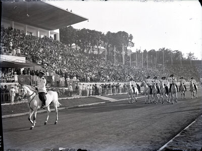 Fotografie necatalogată, cota BU-FD-01073-9-00235-0002