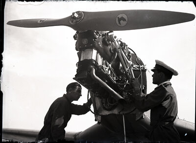 Fotografie necatalogată, cota BU-FD-01073-9-00237-0003