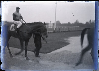 Fotografie necatalogată, cota BU-FD-01073-9-00238-0007