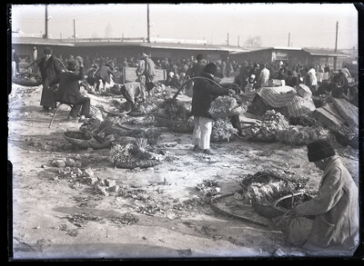 Fotografie necatalogată, cota BU-FD-01073-9-00240-0002