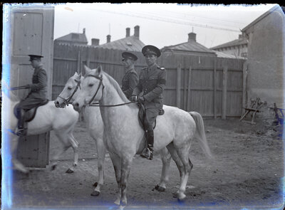 Fotografie necatalogată, cota BU-FD-01073-9-00253-0008
