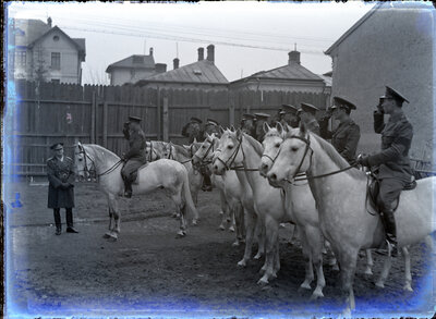 Fotografie necatalogată, cota BU-FD-01073-9-00253-0009