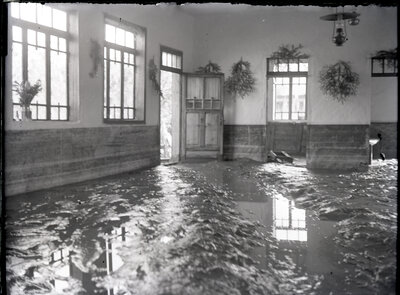 Fotografie necatalogată, cota BU-FD-01073-9-00259-0002