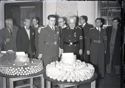 Fotografie necatalogată, cota BU-FD-01073-9-00260-0009