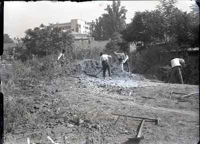 Fotografie necatalogată, cota BU-FD-01073-9-00266-0015