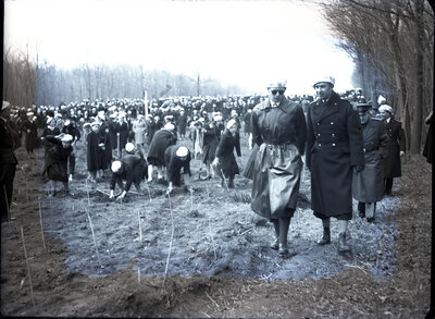 Fotografie necatalogată, cota BU-FD-01073-9-00276-0009