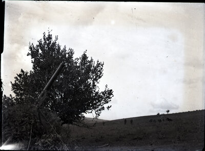 Fotografie necatalogată, cota BU-FD-01073-9-00291-0006