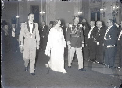 Fotografie necatalogată, cota BU-FD-01073-9-00293-0002