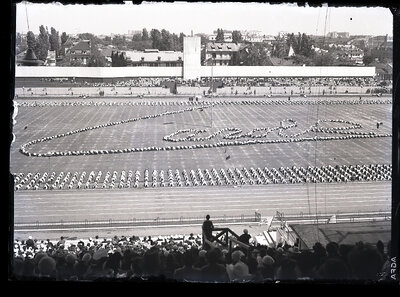 Demonstrație a Străjeriei de Ziua Restaurației pe Stadion O.N.E.F.